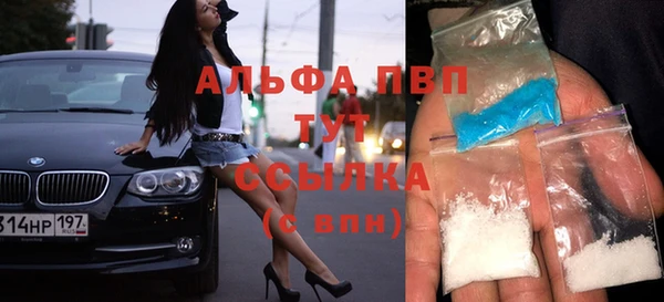 сатива Абаза