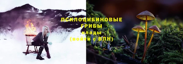 соль курить ск Алзамай