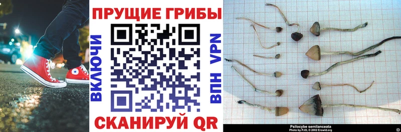 Галлюциногенные грибы Magic Shrooms  магазин продажи   Магнитогорск 